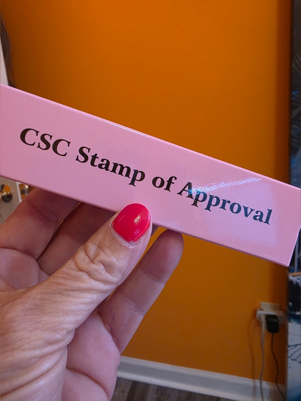 Chelsey Smith Dakota Rich Honey Swiss Lace NWT + CSC winged liner stamp. - Picture 12 of 12